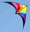 PRISM KITE SWEPT WING 1.37M WINGSPAN For Cheap