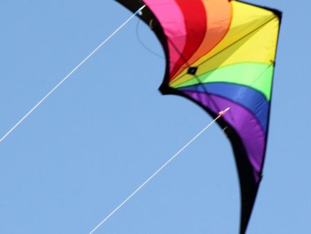 PRISM KITE SWEPT WING 1.37M WINGSPAN For Cheap