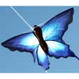 BLUE BUTTERFLY KITE  1.4M Cheap