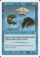 Wind Sail [Starter 1999] Cheap