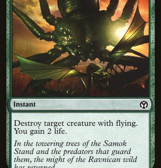 Aerial Predation [Iconic Masters] Hot on Sale